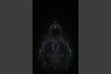 Buddhabrot set