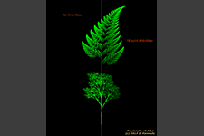 Fractal Fern Anti-Alias