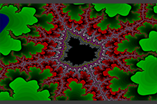Mandelbrot Beetle